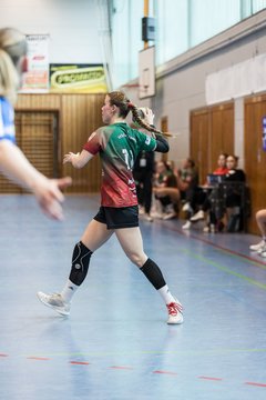 Bild 231 - F HSG Kremperheide/Muensterdorf - ATSV Stockelsdorf 2 : Ergebnis: 47:32